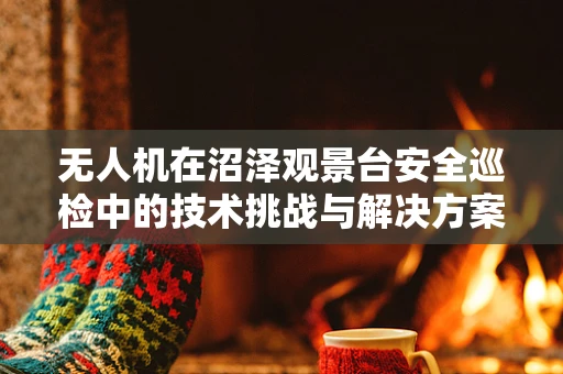 无人机在沼泽观景台安全巡检中的技术挑战与解决方案