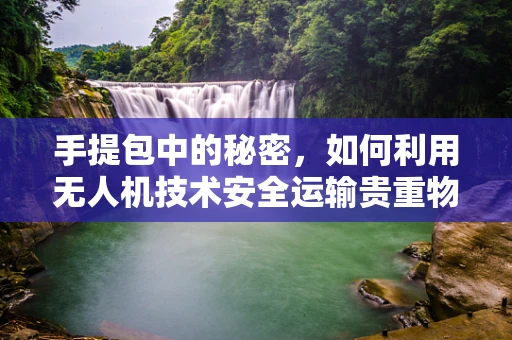 手提包中的秘密，如何利用无人机技术安全运输贵重物品？