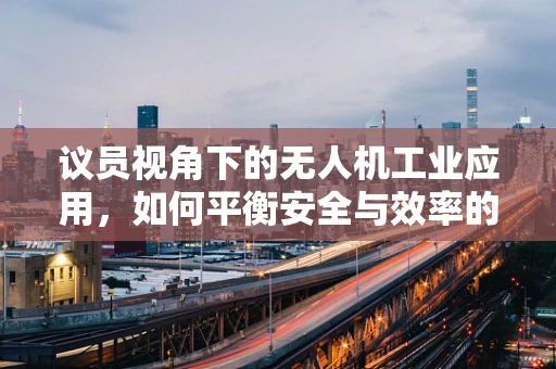 议员视角下的无人机工业应用，如何平衡安全与效率的双重挑战？