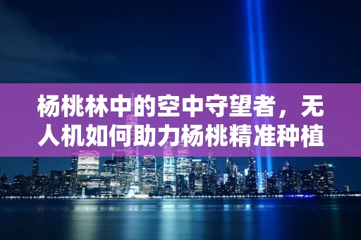 杨桃林中的空中守望者，无人机如何助力杨桃精准种植？