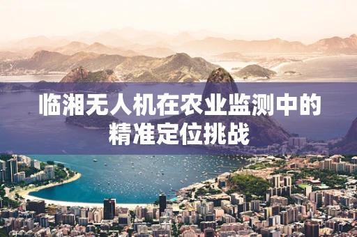 临湘无人机在农业监测中的精准定位挑战