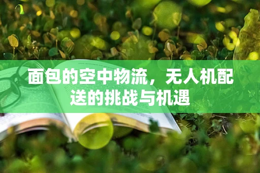 面包的空中物流，无人机配送的挑战与机遇