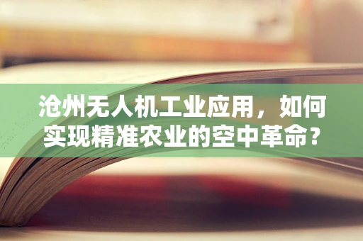 沧州无人机工业应用，如何实现精准农业的空中革命？