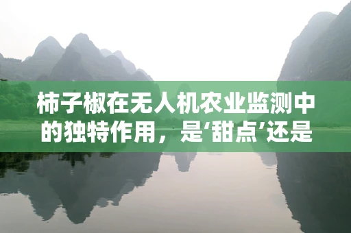 柿子椒在无人机农业监测中的独特作用，是‘甜点’还是‘利器’？