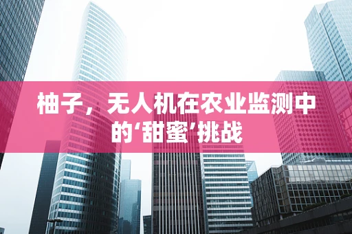 柚子，无人机在农业监测中的‘甜蜜’挑战