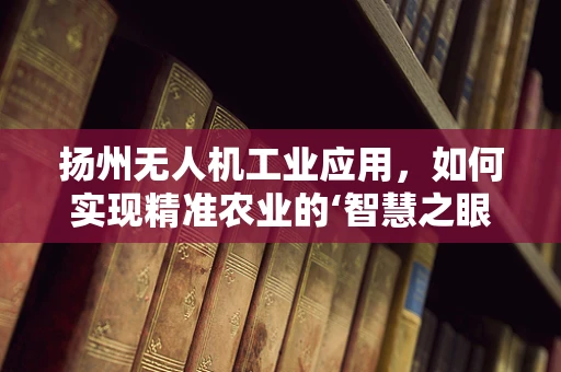 扬州无人机工业应用，如何实现精准农业的‘智慧之眼’？