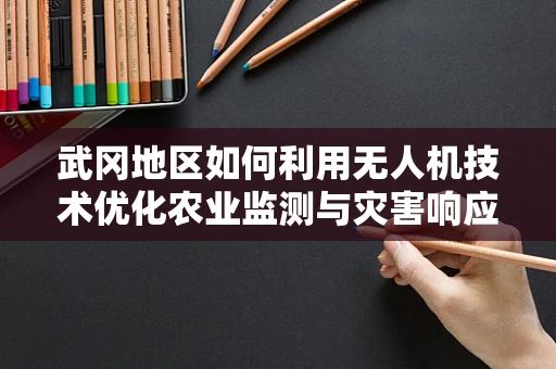 武冈地区如何利用无人机技术优化农业监测与灾害响应？
