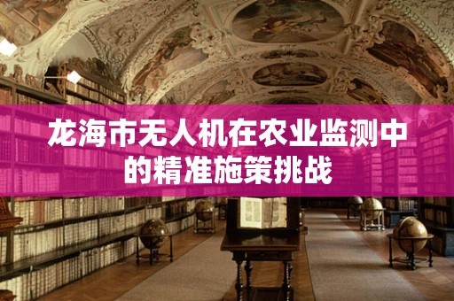 龙海市无人机在农业监测中的精准施策挑战