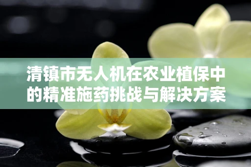 清镇市无人机在农业植保中的精准施药挑战与解决方案