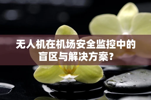 无人机在机场安全监控中的盲区与解决方案？