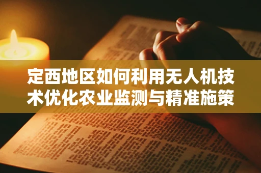 定西地区如何利用无人机技术优化农业监测与精准施策？