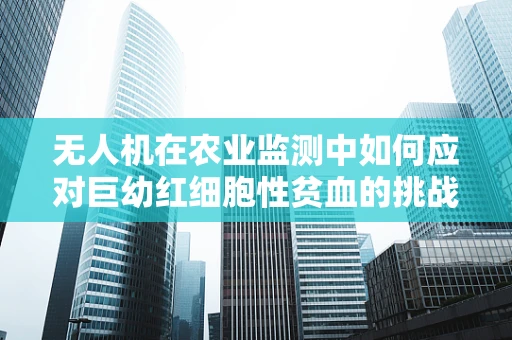 无人机在农业监测中如何应对巨幼红细胞性贫血的挑战？