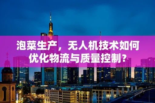 泡菜生产，无人机技术如何优化物流与质量控制？