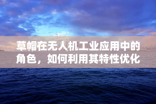 草帽在无人机工业应用中的角色，如何利用其特性优化飞行安全？
