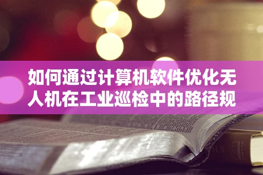 如何通过计算机软件优化无人机在工业巡检中的路径规划？