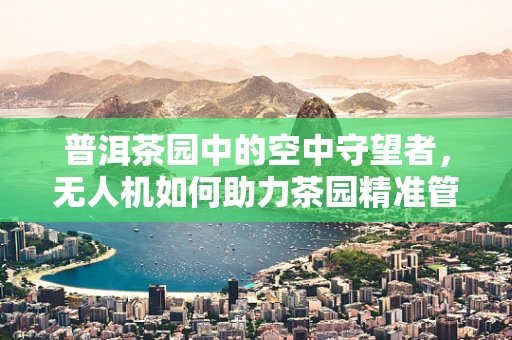 普洱茶园中的空中守望者，无人机如何助力茶园精准管理？
