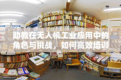 助教在无人机工业应用中的角色与挑战，如何高效培训与监督？