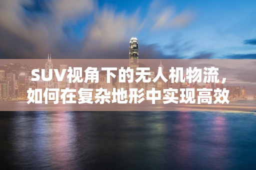 SUV视角下的无人机物流，如何在复杂地形中实现高效配送？