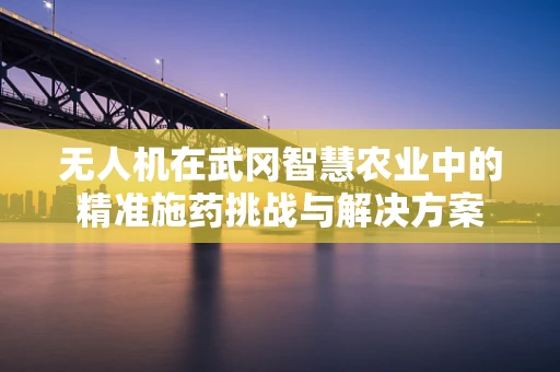 无人机在武冈智慧农业中的精准施药挑战与解决方案