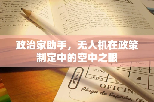 政治家助手，无人机在政策制定中的空中之眼