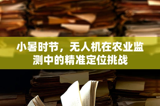 小暑时节，无人机在农业监测中的精准定位挑战