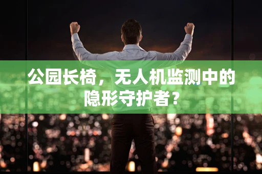 公园长椅，无人机监测中的隐形守护者？