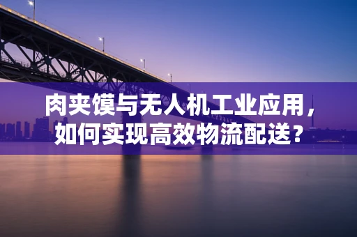 肉夹馍与无人机工业应用，如何实现高效物流配送？