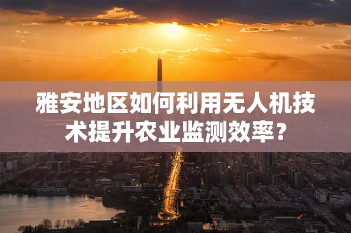 雅安地区如何利用无人机技术提升农业监测效率？