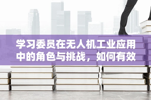 学习委员在无人机工业应用中的角色与挑战，如何有效促进团队学习与技术创新？