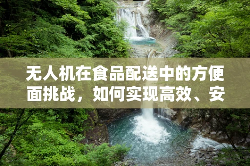 无人机在食品配送中的方便面挑战，如何实现高效、安全的空中补给？