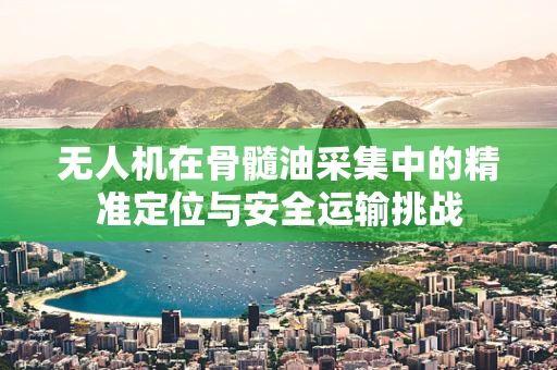 无人机在骨髓油采集中的精准定位与安全运输挑战