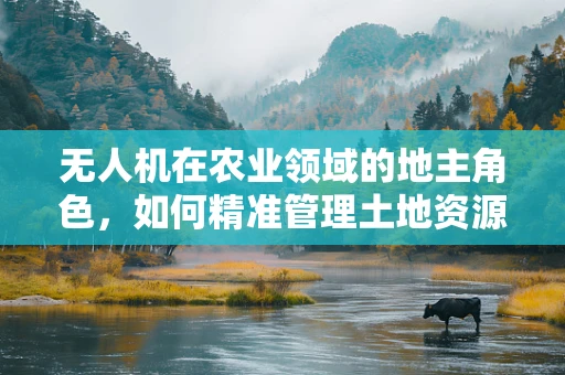 无人机在农业领域的地主角色，如何精准管理土地资源？