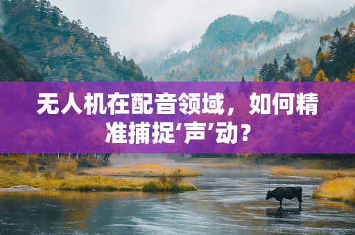 无人机在配音领域，如何精准捕捉‘声’动？