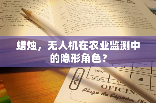 蜡烛，无人机在农业监测中的隐形角色？