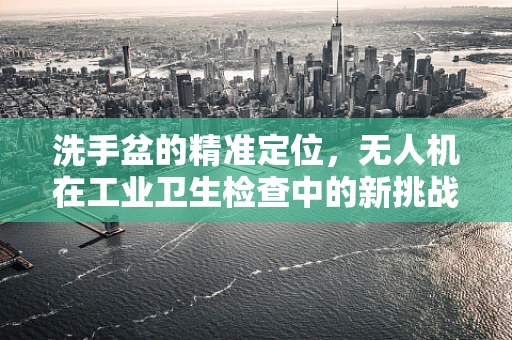 洗手盆的精准定位，无人机在工业卫生检查中的新挑战