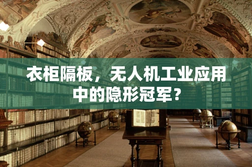 衣柜隔板，无人机工业应用中的隐形冠军？