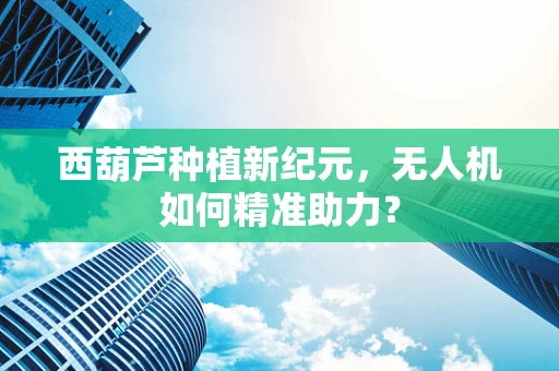 西葫芦种植新纪元，无人机如何精准助力？