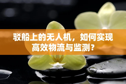 驳船上的无人机，如何实现高效物流与监测？