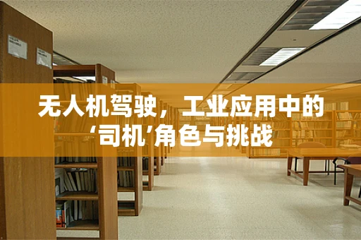 无人机驾驶，工业应用中的‘司机’角色与挑战