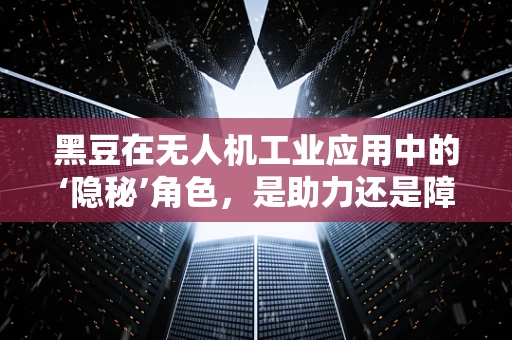 黑豆在无人机工业应用中的‘隐秘’角色，是助力还是障碍？