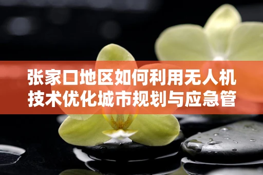 张家口地区如何利用无人机技术优化城市规划与应急管理？