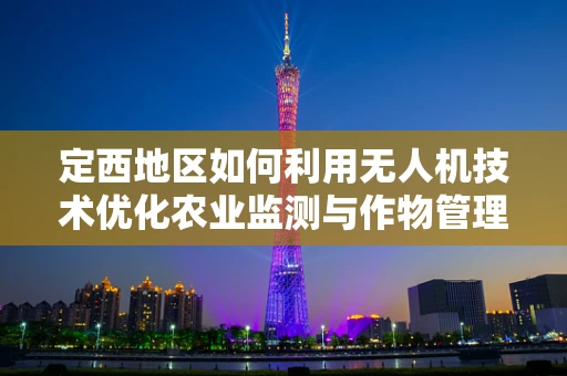定西地区如何利用无人机技术优化农业监测与作物管理？