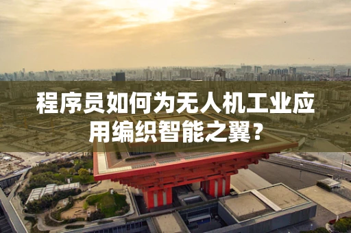 程序员如何为无人机工业应用编织智能之翼？