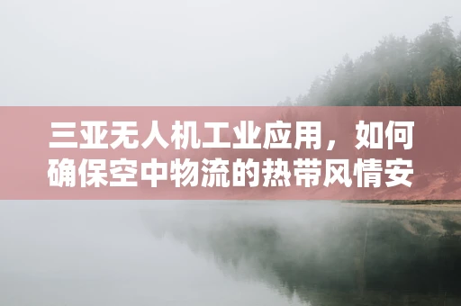 三亚无人机工业应用，如何确保空中物流的热带风情安全高效？