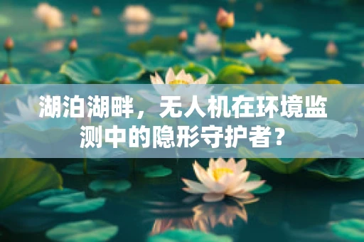 湖泊湖畔，无人机在环境监测中的隐形守护者？