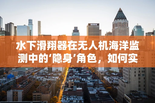 水下滑翔器在无人机海洋监测中的‘隐身’角色，如何实现高效数据采集？