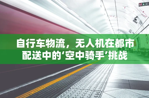 自行车物流，无人机在都市配送中的‘空中骑手’挑战