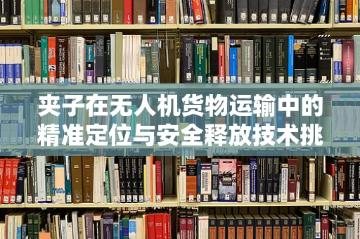 夹子在无人机货物运输中的精准定位与安全释放技术挑战