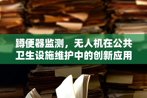 蹲便器监测，无人机在公共卫生设施维护中的创新应用？