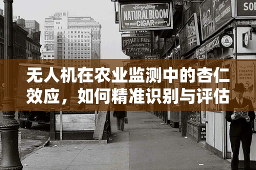 无人机在农业监测中的杏仁效应，如何精准识别与评估？